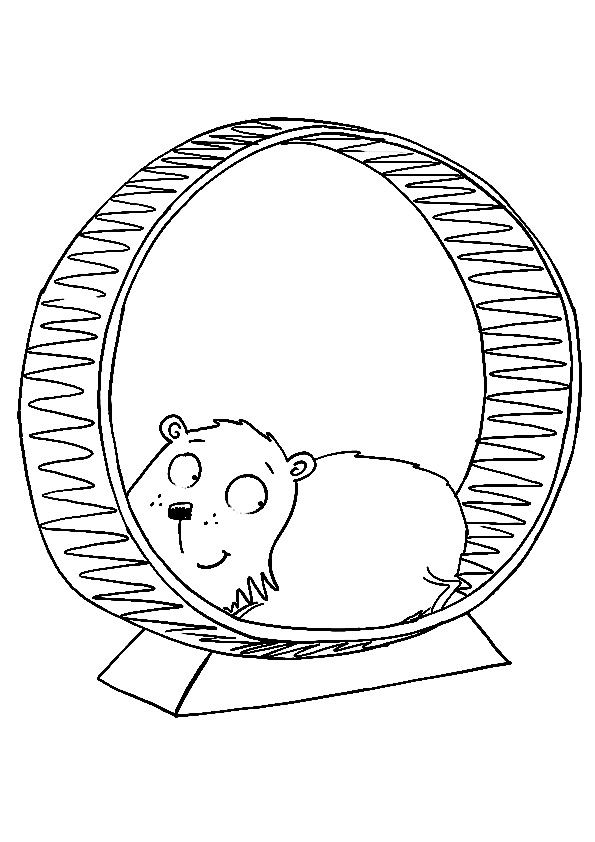 The-hamster-on-a-hamster-wheel