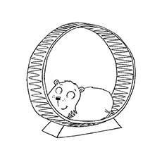 The hamster on a hamster wheel coloring pages