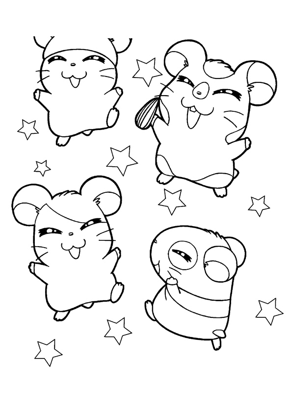 The-hamsters-with-stars