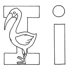 Letter i for ibis coloring page_image