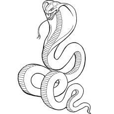 rainforest snake coloring pages