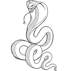King cobra snake coloring page