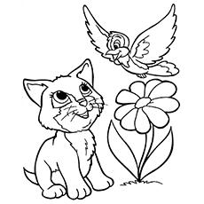 Download Top 15 Free Printable Kitten Coloring Pages Online