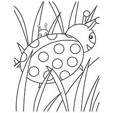 top 17 free printable bug coloring pages online