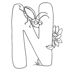 N for nectar, printable letter N coloring pages