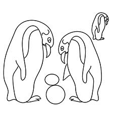 The penguin playing ball coloring pages