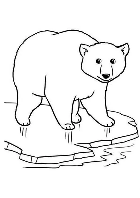 The-polar-bear-on-ice