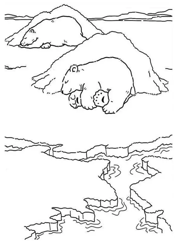 The-polar-bear-sleeping