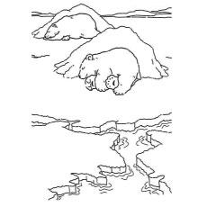 Top 10 Free Printable Polar Bear Coloring Pages Online