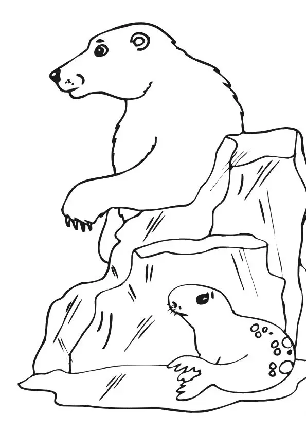 The-polar-bear-with-seal