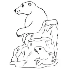 Polar bear chasing seal coloring page