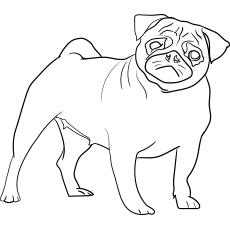 top 25 free printable dog coloring pages online