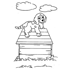Puppy and clouds coloring page