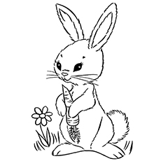 Rabbit with Carrot Coloring Pages