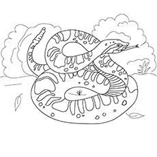 Ridge-nosed rattlesnake coloring page