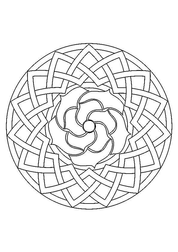 The-rose-geometric-shape