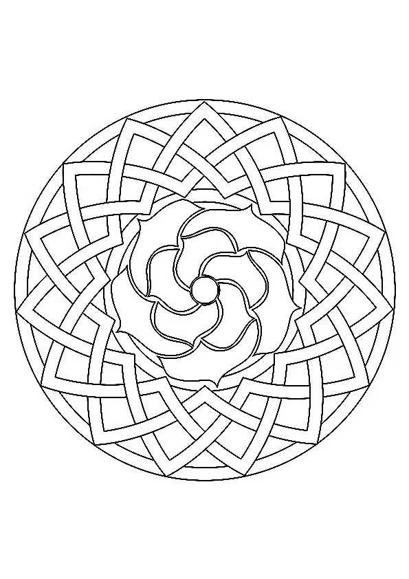 The-rose-geometric-shape