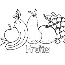 Fruits pictures for preschool coloring page