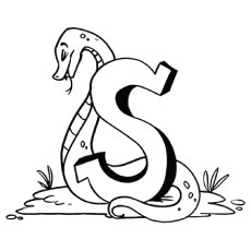 The-s-for-snake