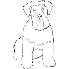 top 25 free printable dog coloring pages online