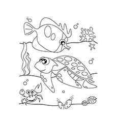 Ocean life coloring page