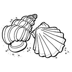 Ocean shells coloring page