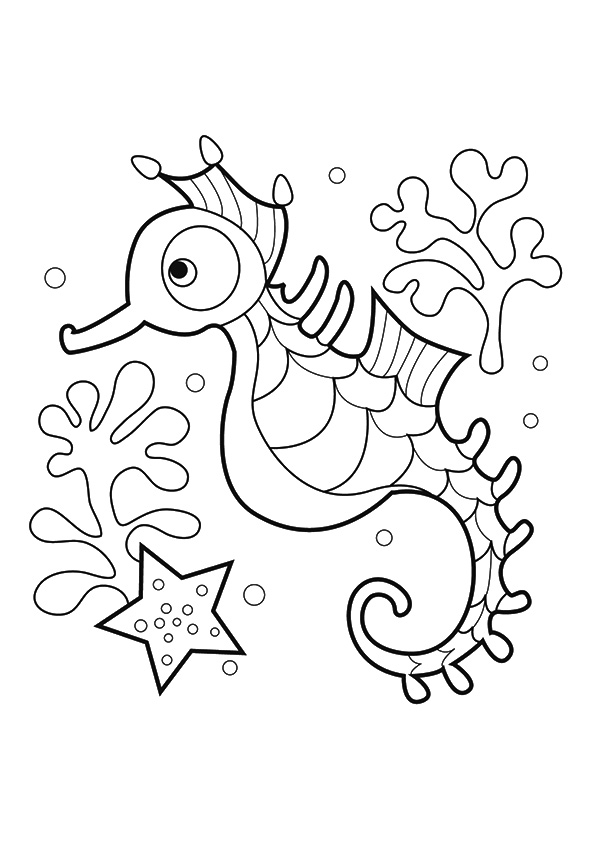 The-seahorse-with-a-star