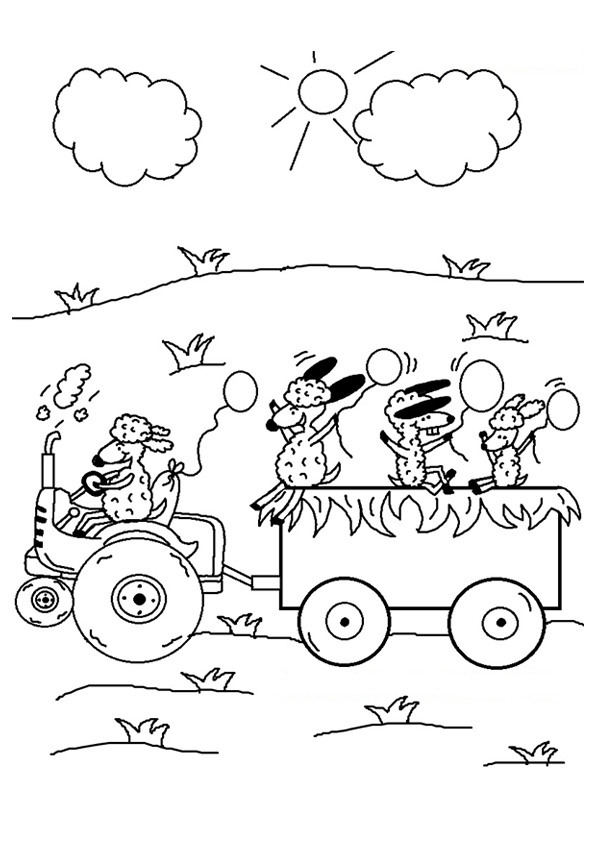 The-sheep-riding-tractor