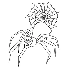Spider bug coloring page