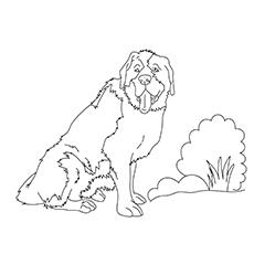 Top 25 Free Printable Dog Coloring Pages Online