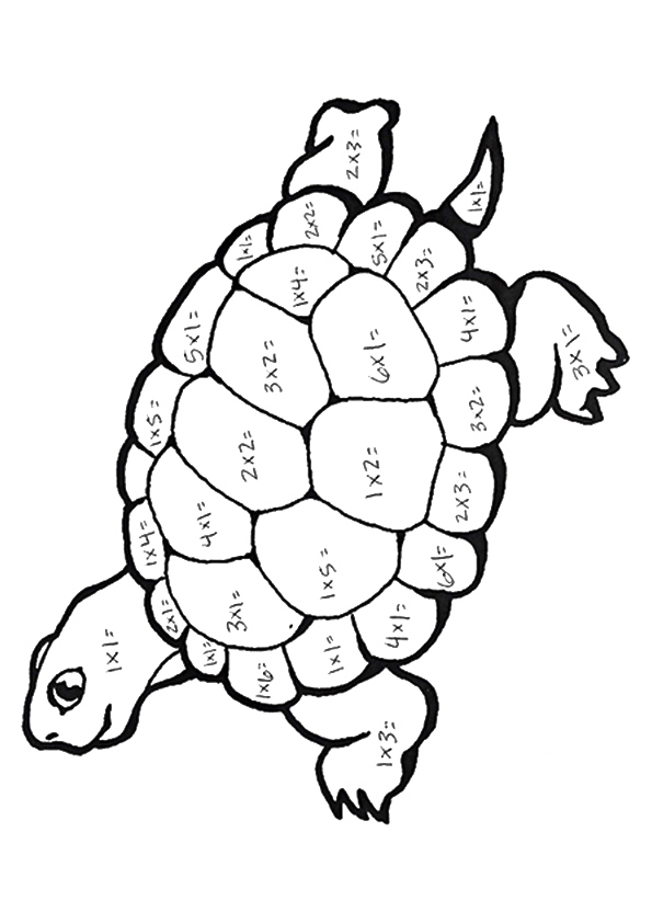 The-turtle