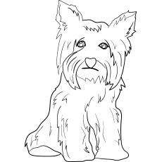 Top 25 Free Printable Dog Coloring Pages Online