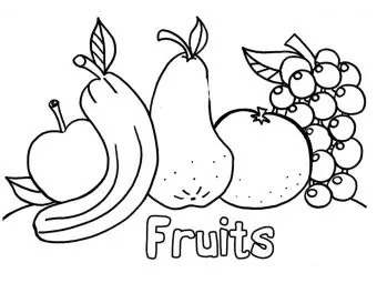 Top 30 Apple Coloring Pages For Your Little Ones