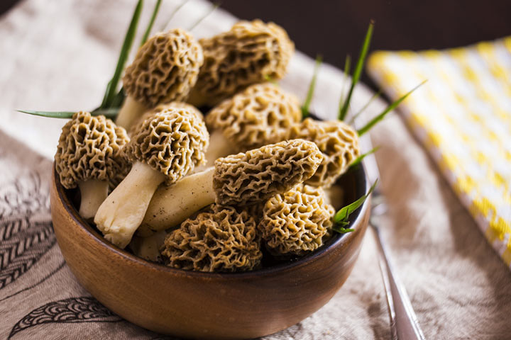 Can I eat true morel mushrooms while pregnant
