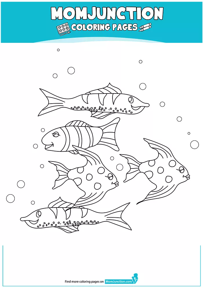 Varieties-Koi-Fish-16