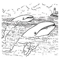 Whale coloring page