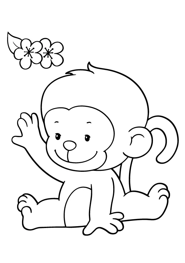 baby-monkey