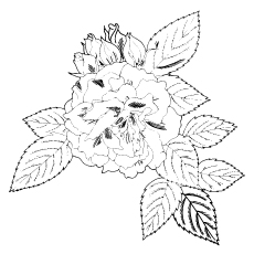 A single rose coloring page