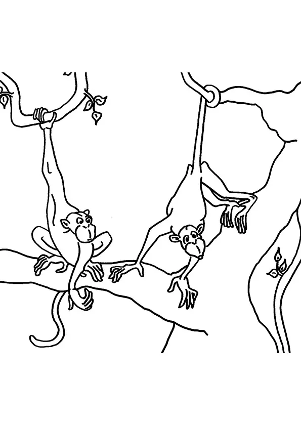 cpa-monkeys-on-tree