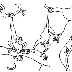 CPA Monkeys on tree coloring page