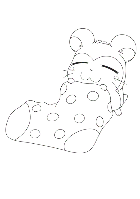 cute-hamster-in-a-sock-coloring