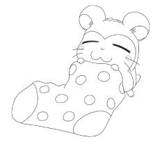 Cute hamster in a sock coloring pages