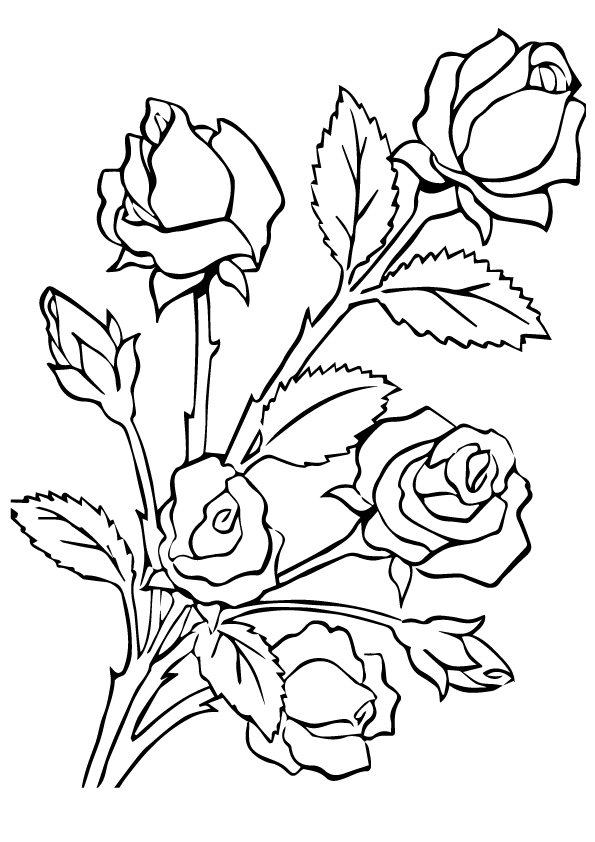 five-roses