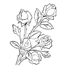 A bunch of roses coloring page