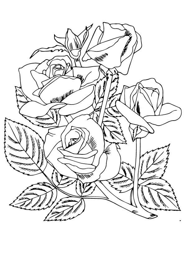 four-roses