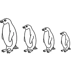 Growing penguin coloring pages_image