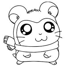 Pashmina Hamtaro guinea pig coloring page