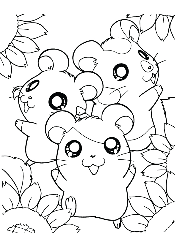 happy-hamsters-with-sun-flower