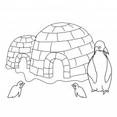 Penguin Coloring Pages - Free Printable for Kids