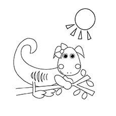 Iguana sunbathing coloring page